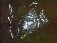 B40295.JPG