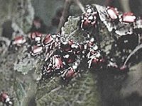 B10582.JPG