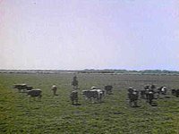 B8501.JPG