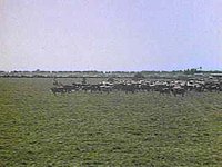B8500.JPG