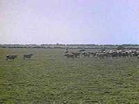 B8499.JPG