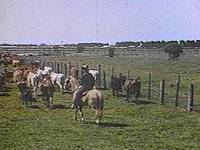 B8497.JPG