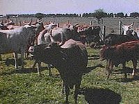 B8495.JPG
