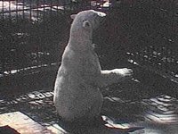 B8267.JPG