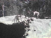 B8254.JPG