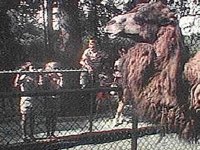 B8208.JPG
