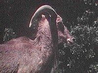B8159.JPG