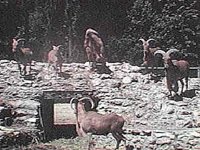 B8158.JPG
