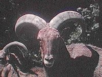 B8157.JPG