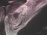 B8143.JPG