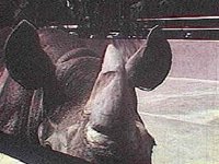 B8142.JPG