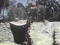 B8136.JPG