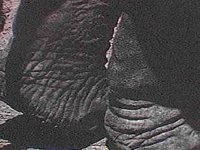 B8117.JPG