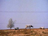 B7192.JPG