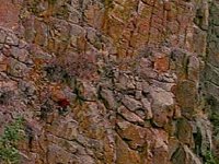 B6397.JPG