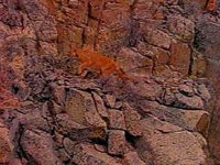 B6396.JPG