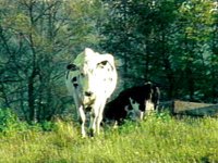 B47262.JPG