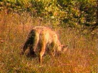 B45706.JPG
