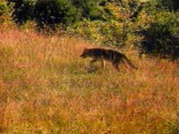 B45705.JPG