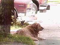 B44673.JPG