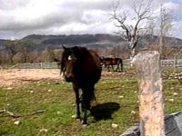B44285.JPG
