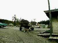B44096.JPG