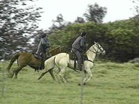 B43429.JPG