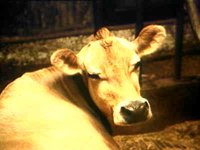 B41871.JPG