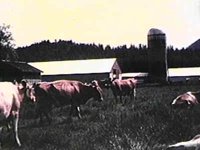 B41324.JPG