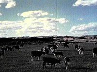 B41318.JPG
