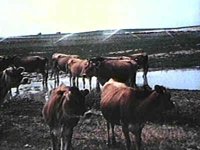 B41292.JPG