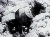 B21587.JPG