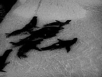 B20545.JPG