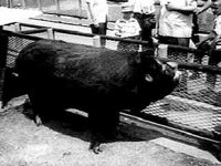 B19525.JPG