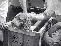 B15876.JPG