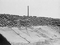 B12474.JPG