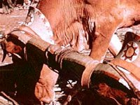 B10710.JPG