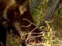 590400.JPG