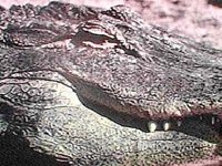 B8257.JPG