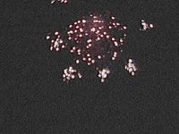B7936.JPG
