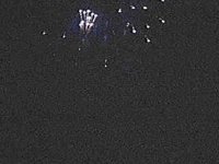 B7905.JPG
