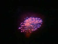 42600.JPG