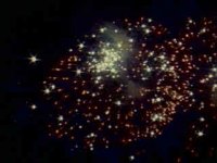 312700.JPG
