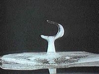 B7956.JPG