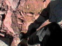 B47410.JPG