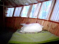 B45165.JPG