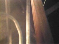 B44456.JPG