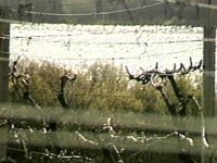 B44402.JPG