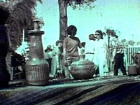 B41964.JPG