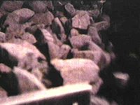 B41397.JPG